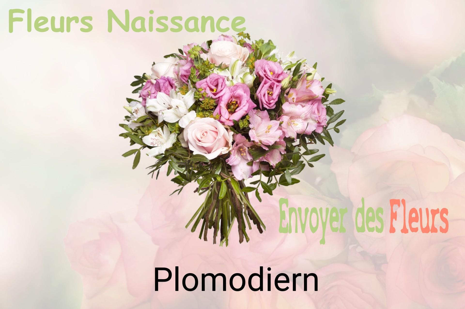 Bouquet de fleurs de naissance livré à Plomodiern